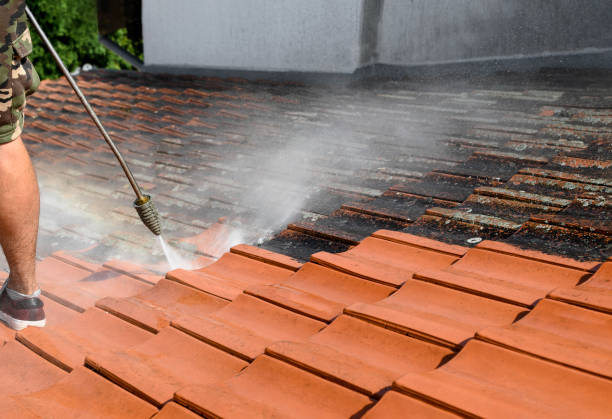 Roof Power Washing Services in Gibraltar, MI