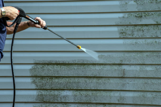 Best Pressure Washing Estimates  in Gibraltar, MI