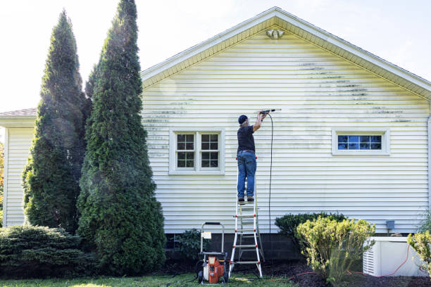 Best Pressure Washing Company Near Me  in Gibraltar, MI