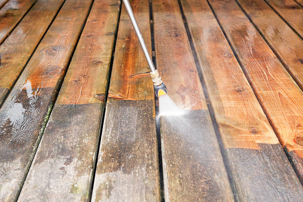 Best Roof Pressure Washing  in Gibraltar, MI